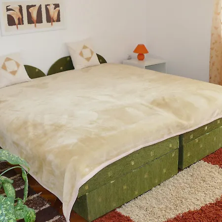 Holiday Balaton H428 度假居 *